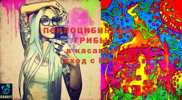 дживик Богданович