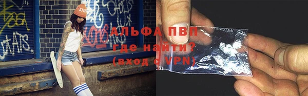 дживик Богданович