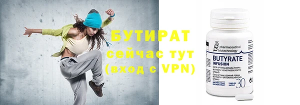 дмт Бородино