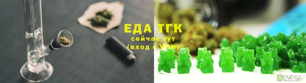 дмт Бородино
