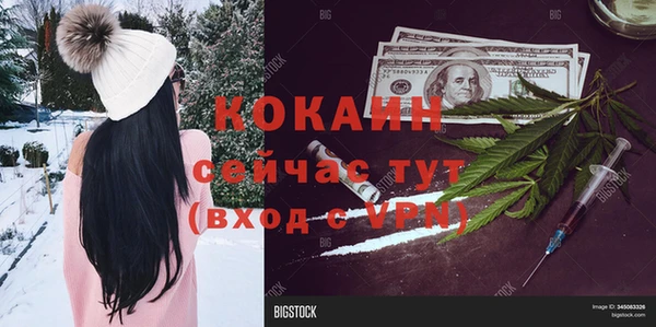 дживик Богданович