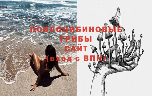 дживик Богданович