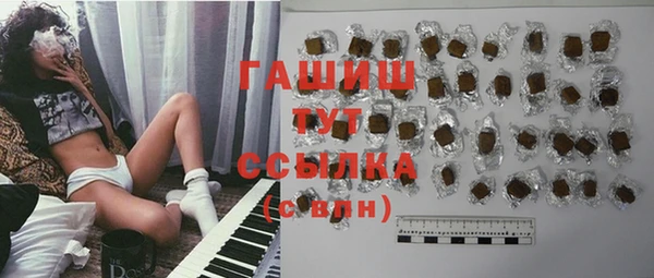 дмт Бородино