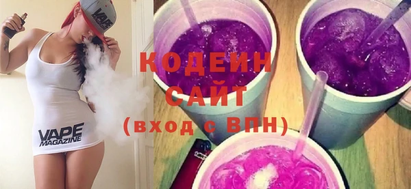 дмт Бородино
