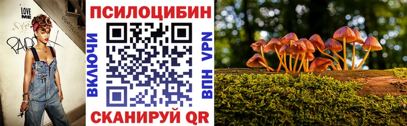 Галлюциногенные грибы Cubensis  Купить где  Горячий Ключ 